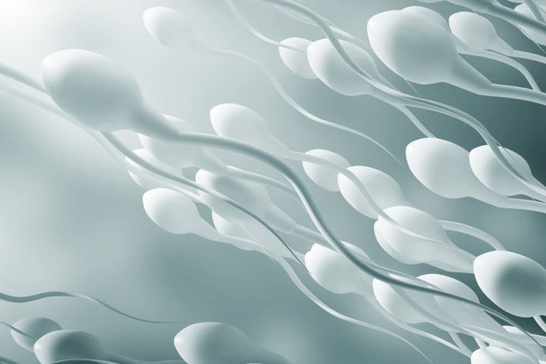 Azoospermia treatment Azoospermia treatment